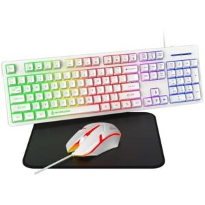 Gaming Keyboard and Mouse – Why They Matter